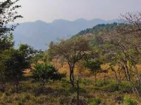  Agricultural Land for Sale in Morni Hills, Panchkula