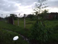  Agricultural Land for Sale in Sanjan, Valsad