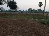  Agricultural Land for Sale in Kathipudi, East Godavari