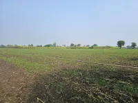  Agricultural Land for Sale in Dahanu, Palghar