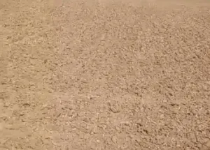  Agricultural Land for Sale in Dahanu, Palghar