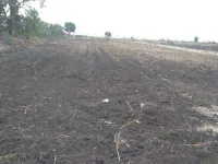  Agricultural Land for Sale in Muddebihal, Vijayapura