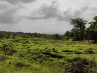 1 RK Flat for Sale in Dodamarg, North Goa,