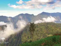 Residential Plot for Sale in Lovedale Junction, Ooty