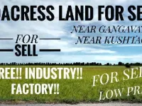  Agricultural Land for Sale in Gangawati, Koppal