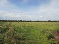  Agricultural Land for Sale in Sadasivpet, Sangareddy
