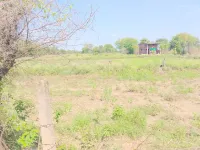  Agricultural Land for Sale in Kothi, Satna