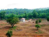  Residential Plot for Sale in Sector 37 Greater Noida West