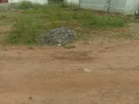  Residential Plot for Sale in Ponnagar, Tiruchirappalli