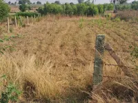 Agricultural Land for Sale in Channasandra, Bangalore