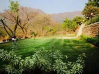  Residential Plot for Sale in Aundh, Pune