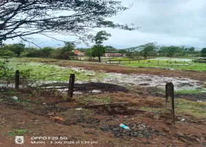  Agricultural Land for Sale in Mulshi, Pune