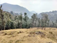 Agricultural Land for Sale in Mussoorie, Dehradun