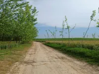  Agricultural Land for Sale in Ropar, Rupnagar