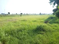  Residential Plot for Sale in Mullanpur, Ludhiana