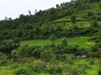  Agricultural Land for Sale in Bhor, Pune