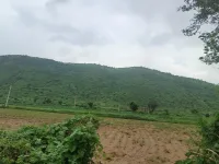  Agricultural Land for Sale in Tijara, Alwar