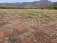 Agricultural Land for Sale in Kollegal, Chamrajnagar