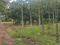  Agricultural Land for Sale in Mysore Road, Bangalore