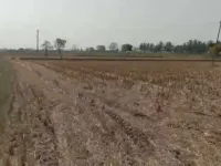  Agricultural Land for Sale in Maddur, Bangalore