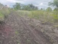 Agricultural Land for Sale in Kanakapura Road, Bangalore