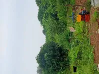  Agricultural Land for Sale in Kumhari, Durg