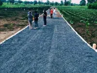  Agricultural Land for Sale in Khandwa Road, Indore