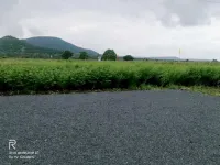  Agricultural Land for Sale in Khandwa Road, Indore