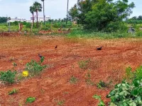 Residential Plot for Sale in Pallipalayam, Namakkal