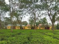  Agricultural Land for Sale in Mainaguri, Jalpaiguri