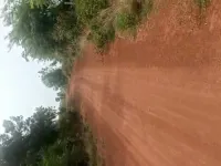  Agricultural Land for Sale in Marpally Mandal, Rangareddy