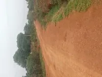  Agricultural Land for Sale in Marpally Mandal, Rangareddy