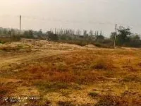  Residential Plot for Sale in Sonepur, Subarnapur