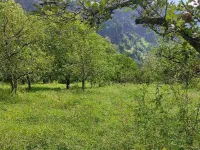  Agricultural Land for Sale in Kullu - Naggar - Manali Road