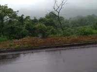  Agricultural Land for Sale in Palaspe Phata, Panvel, Navi Mumbai