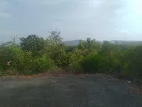  Residential Plot for Sale in Cuncolim, Goa