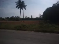 Agricultural Land for Sale in Bethamangala, Kolar