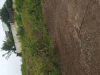  Residential Plot for Sale in Kalyan Nagar, Dharwad