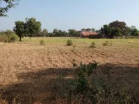  Agricultural Land for Sale in Palani, Dindigul