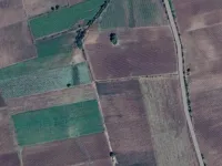  Agricultural Land for Sale in Savarkundla, Amreli