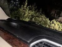  Residential Plot for Sale in Doraha, Ludhiana