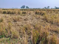  Agricultural Land for Sale in Jetalpur, Ahmedabad