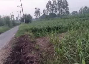 Agricultural Land for Sale in Garhmukteshwar, Hapur