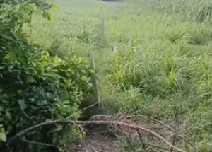 Agricultural Land for Sale in Garhmukteshwar, Hapur