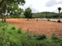  Agricultural Land for Sale in Bogadi Gaddige Road, Mysore