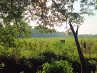  Residential Plot for Sale in Bhayli, Vadodara