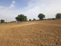  Agricultural Land for Sale in Rapar, Kutch