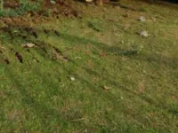  Residential Plot for Sale in Turangi, Kakinada