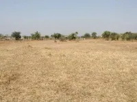  Agricultural Land for Sale in Sanjan, Valsad