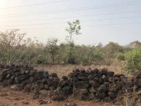 Industrial Land for Sale in Verna, Goa